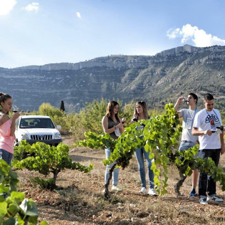 Visita a Viñedos en 4x4, Bodega, Cata de Vinos, Aperitivo y Comida para dos en Cellers Baronia del Montsant (Tarragona)