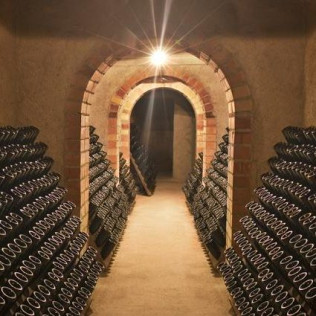 Visita a Cavas Conde de Valicourt con Degustación y Aperitivo para dos en Sant Sadurní d'Anoia (Barcelona)
