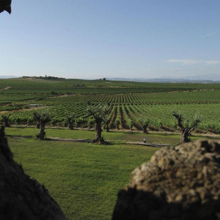 Visita Guiada y Cata en Bodega Laus para dos (Barbastro, Huesca)