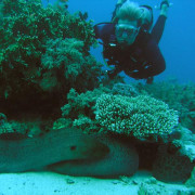 Bautismo de Buceo (Andalucía)